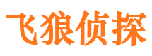 馆陶市私家侦探